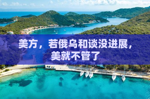 美方，若俄乌和谈没进展，美就不管了